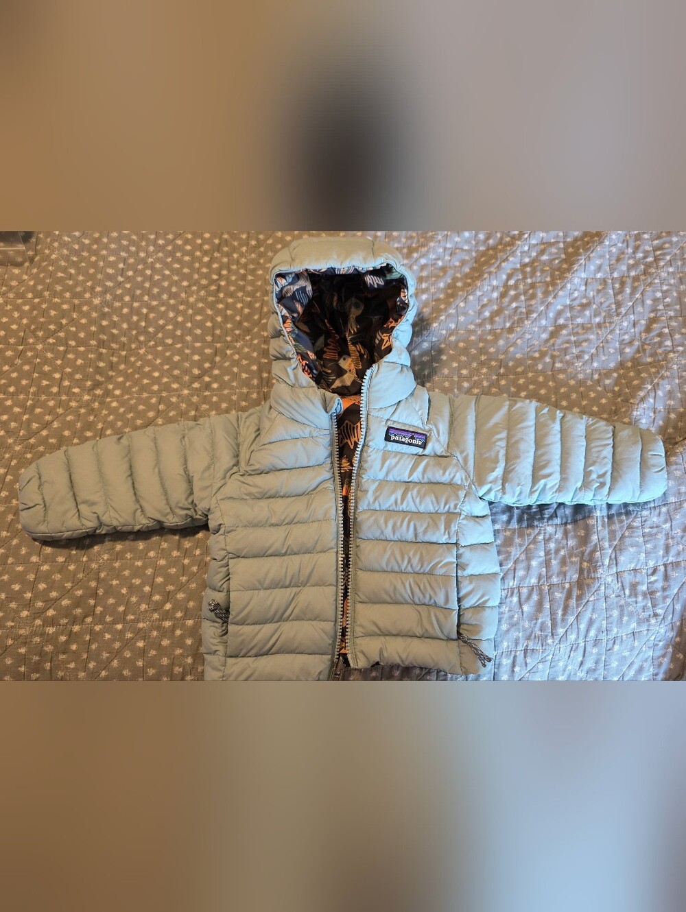 Patagonia Reversible Down Jacket